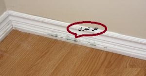 العفن على الارضيات