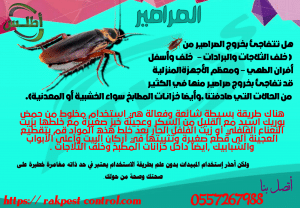 صراصير تعقيم المطبخ من الحشرات