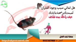 شركة القضاء علي الفئران