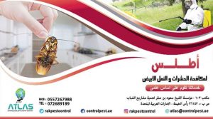 رش الصراصير النمل الأبيض