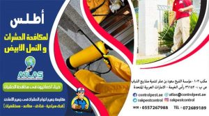 آثار تدمير النمل الأبيض على المنازل