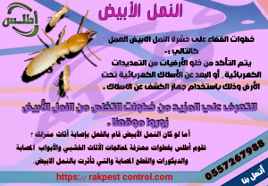 اصابة النمل الأبيض